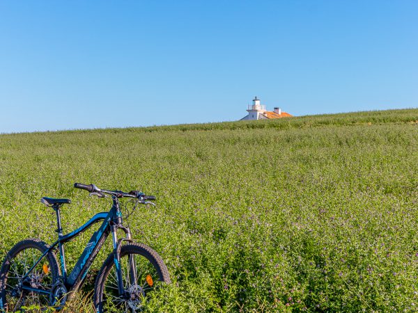 Location de vélo Rental Center Medulin