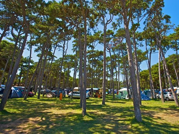 Camping Arena MEDULIN