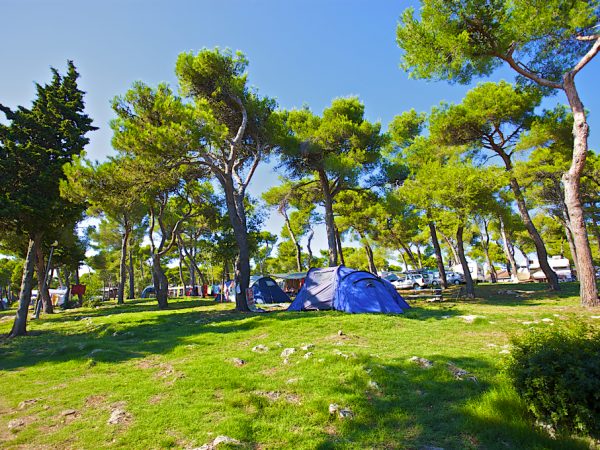 Camping Arena INDIJE