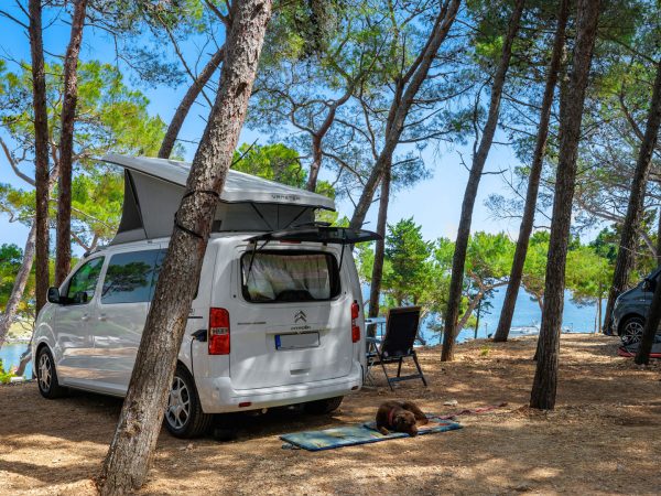 Arena Stupice Campsite