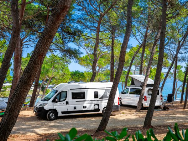 Arena Stupice Campsite