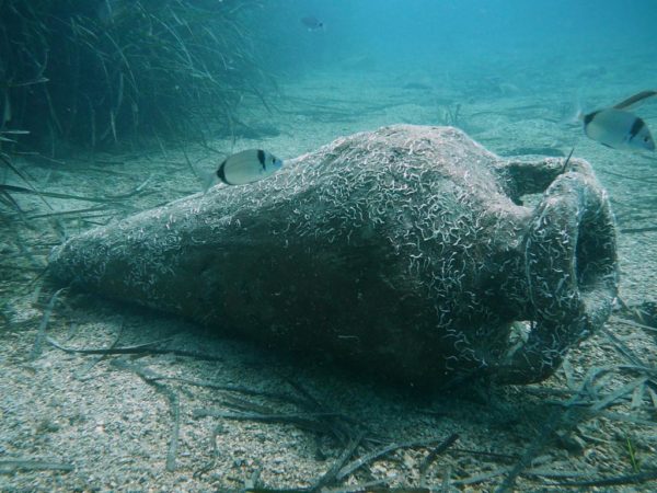 DIVING SCUBA LIBRE