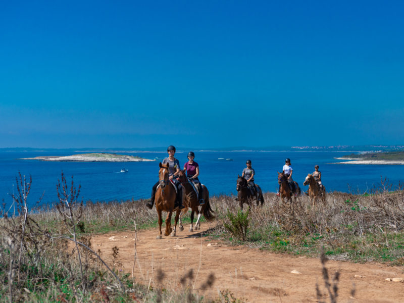 SAMY’S RANCH