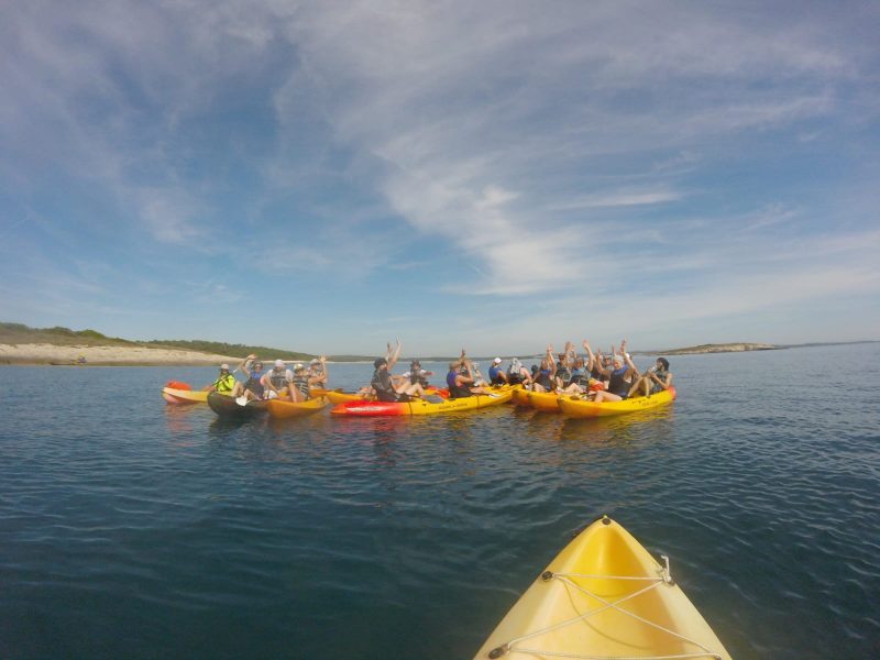 Windsurf centar Medulin – Kayak&SUP