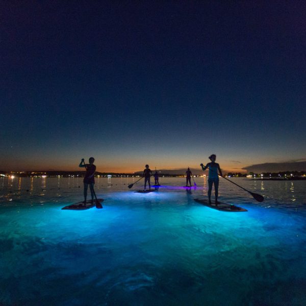 SUP Glow Night Tour