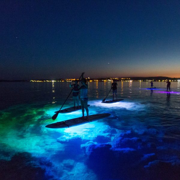 SUP Glow Night Tour