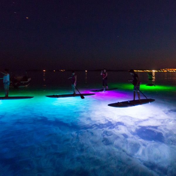 SUP Glow Night Tour