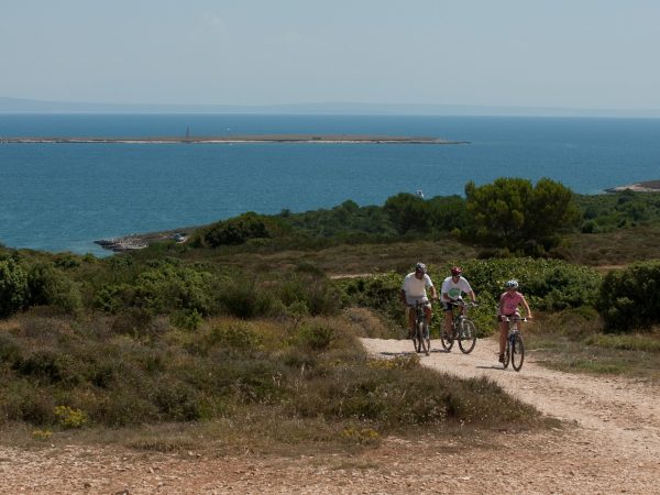 315 – itinéraire à vélo Medulin Riviera