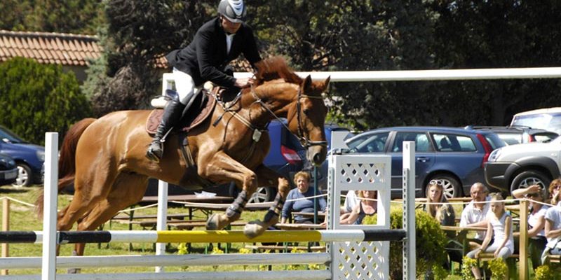 Riding Cup Medulin 2022