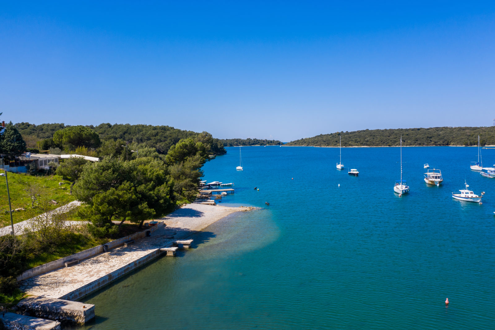 Kaštanjež
