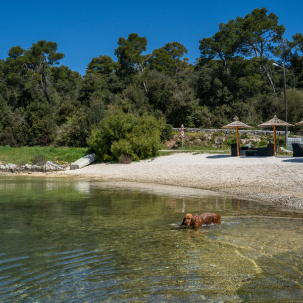 Haustierfreundliche Strand Kanalić