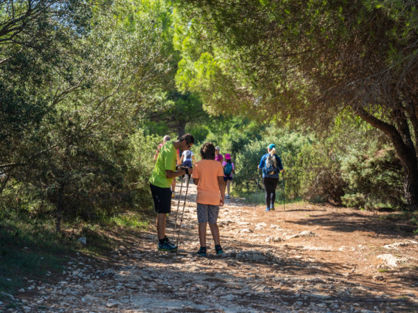 316 – Bike route Premanturka