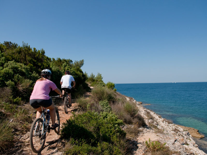 318 – bike route Orhideja