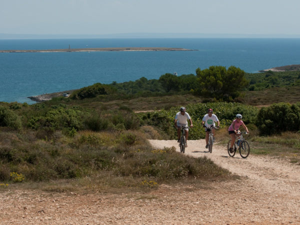 318 – bike route Orhideja