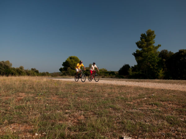 319 – itinéraire à vélo Banjolka