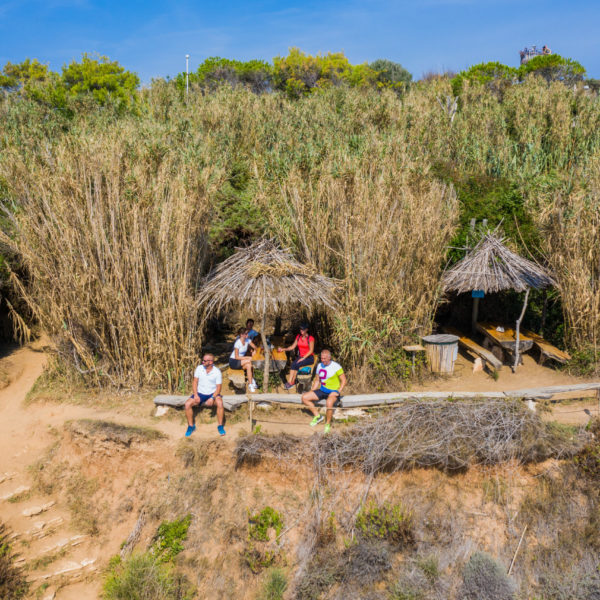 Safari Bar