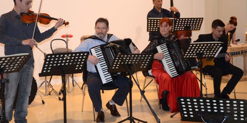 Medulin Concert Summer